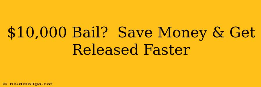 $10,000 Bail?  Save Money & Get Released Faster