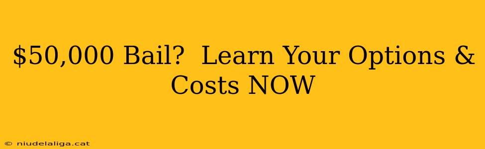 $50,000 Bail?  Learn Your Options & Costs NOW