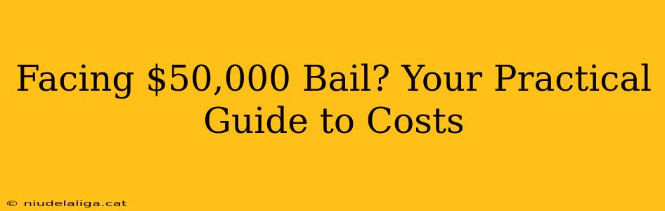 Facing $50,000 Bail? Your Practical Guide to Costs